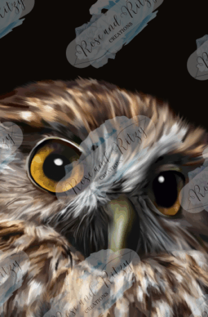 Noctis by Rose Proffitt