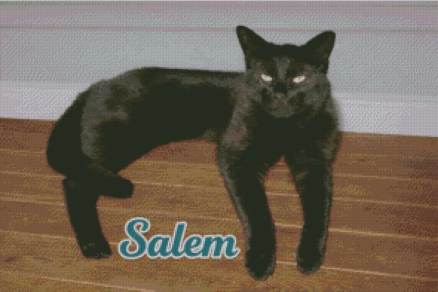 Custom - Salem