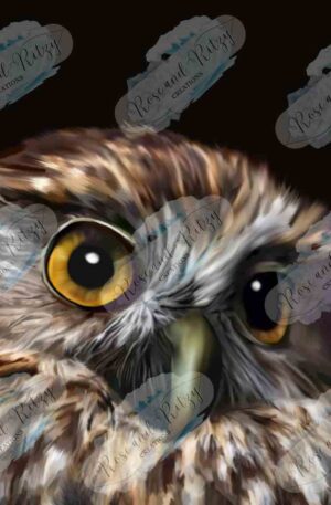 NZ Morepork by Rose Proffitt